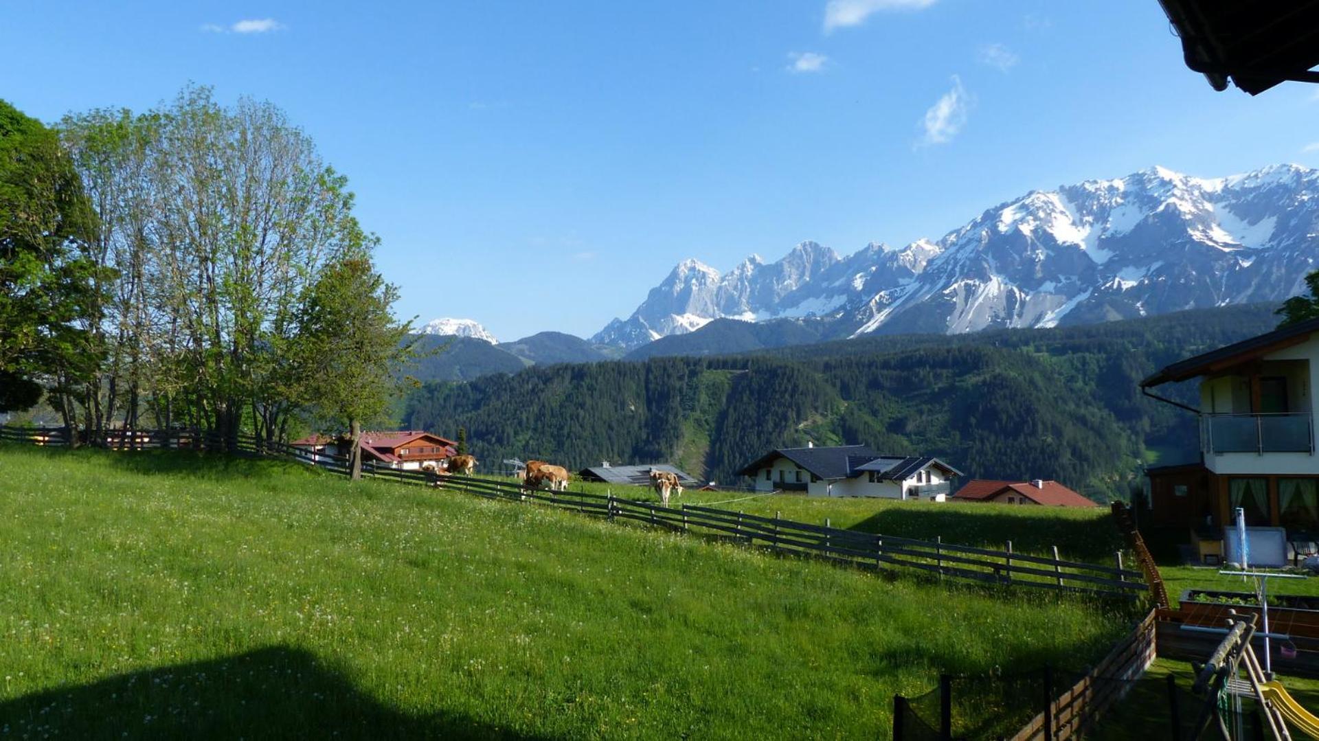 Apartamento Haus Panorama *