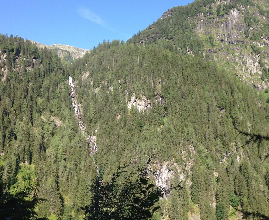 Apartment Haus Panorama Schladming