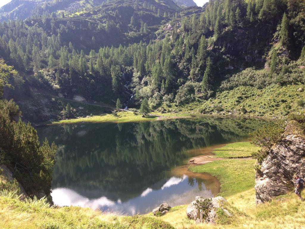 Apartamento Haus Panorama Schladming