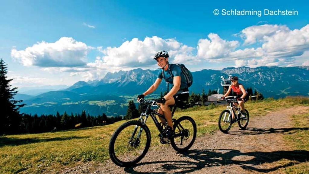 Apartamento Haus Panorama Schladming